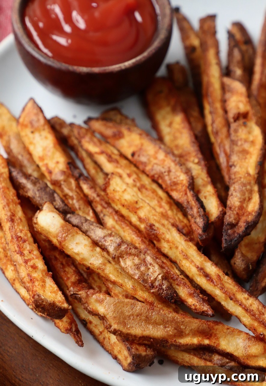 seasoned fries on plate with bowl of ketchup