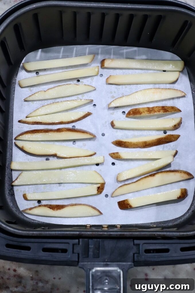 uncooked french fries in air fryer