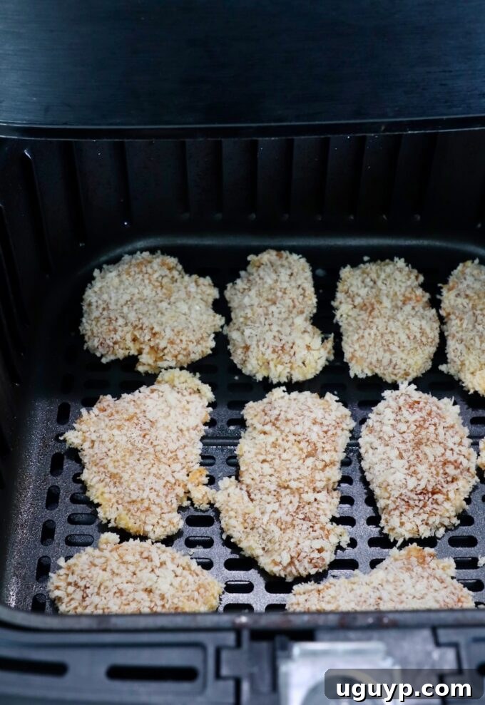 pieces of breaded chicken arranged in a single layer in an air fryer basket