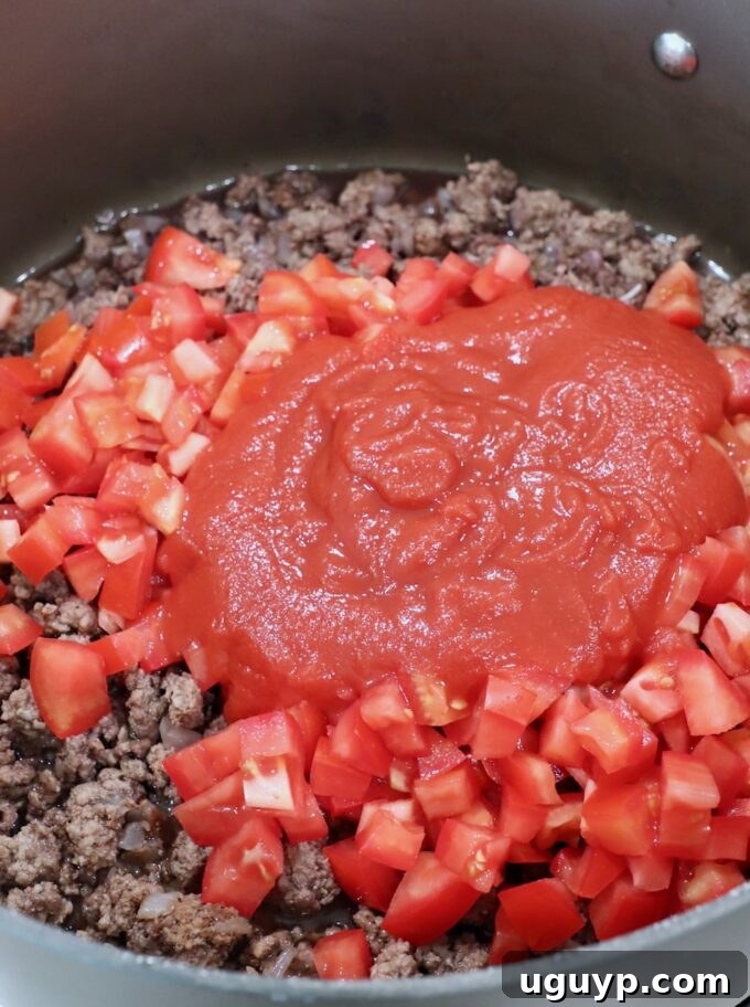 cooked ground beef with diced tomatoes and tomato sauce in large skillet