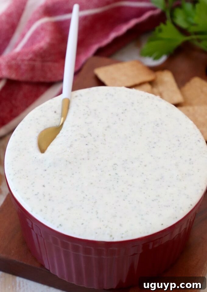 creamy Greek yogurt dip in bowl with spoon
