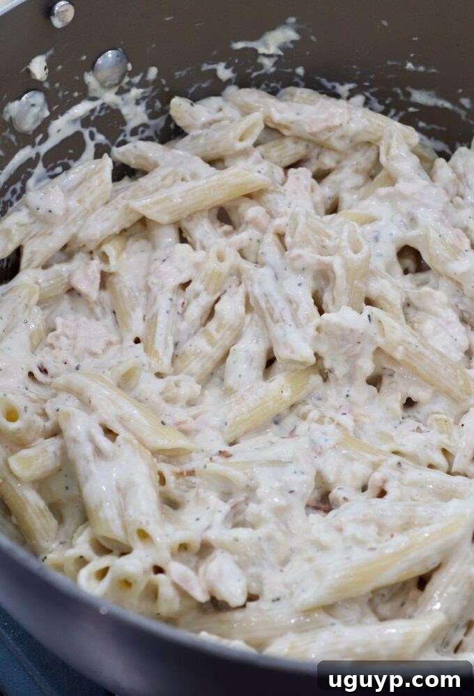 Finished garlic parmesan chicken pasta, perfectly mixed in the pan, ready to be served.