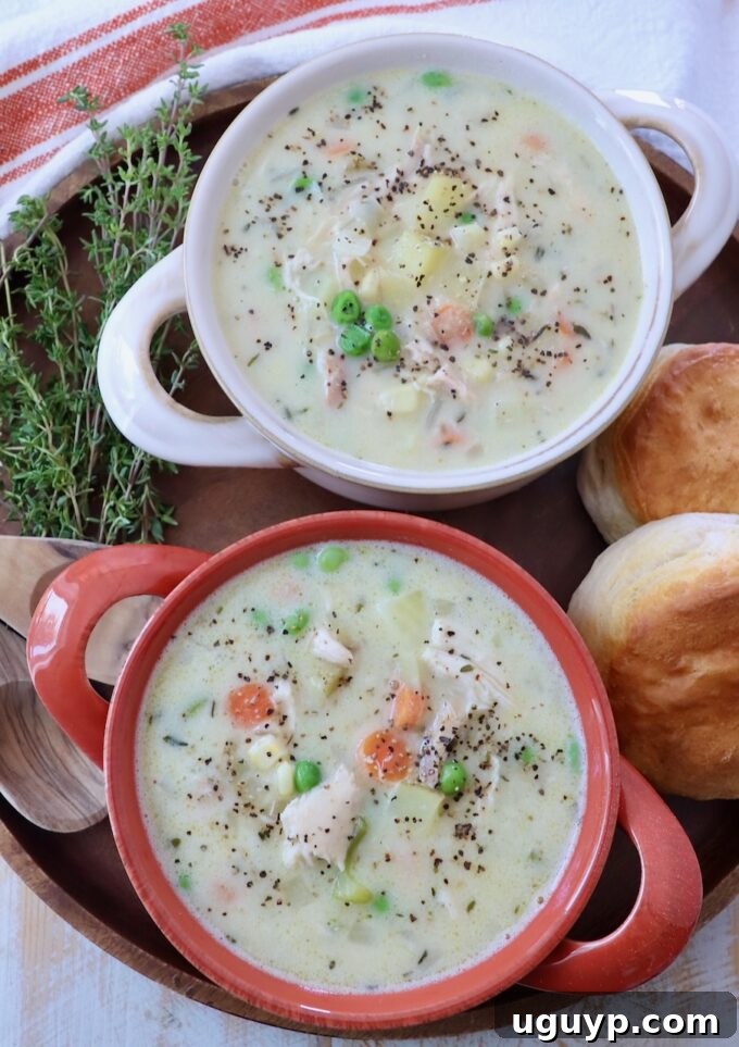 Two steaming bowls of creamy chicken pot pie soup, ready to be served