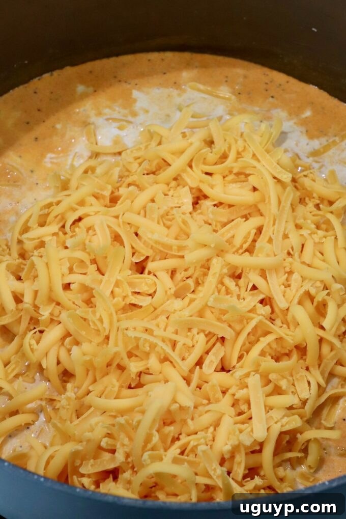 shredded cheddar cheese in seasoned cream sauce in large pan