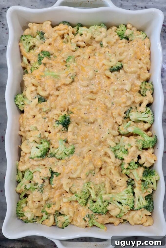 broccoli mac and cheese in casserole dish