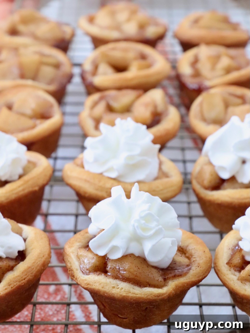 Delicious mini apple pies fresh from the oven, cooling on a wire rack, with some topped with a dollop of whipped cream and a sprinkle of cinnamon