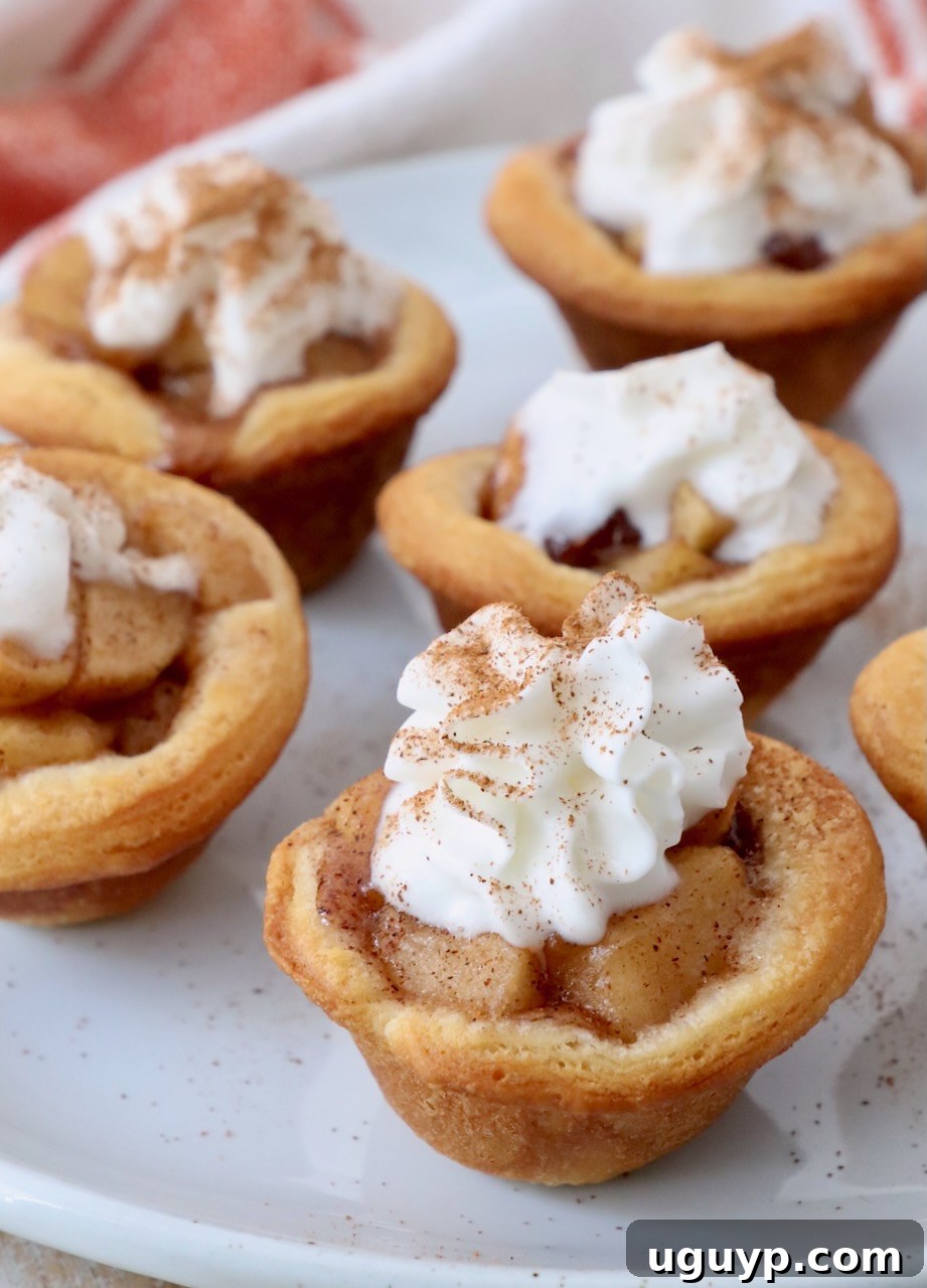 A beautifully presented mini apple pie on a white plate, garnished with a swirl of whipped cream and a dusting of ground cinnamon, ready to be enjoyed.