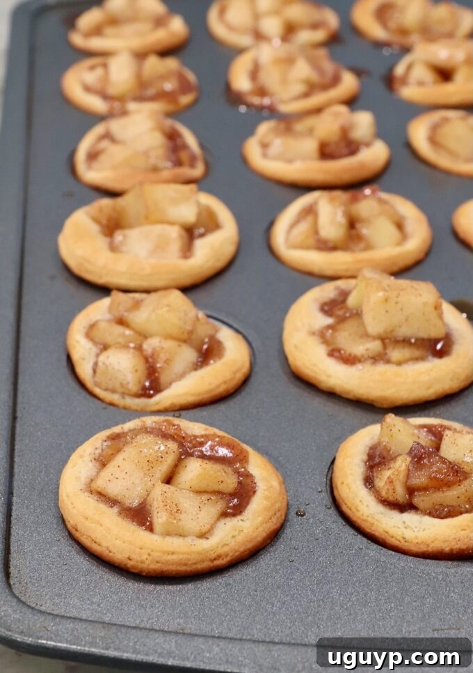 Freshly baked mini apple pies in the mini muffin tin, golden brown and bubbling, ready to be cooled.