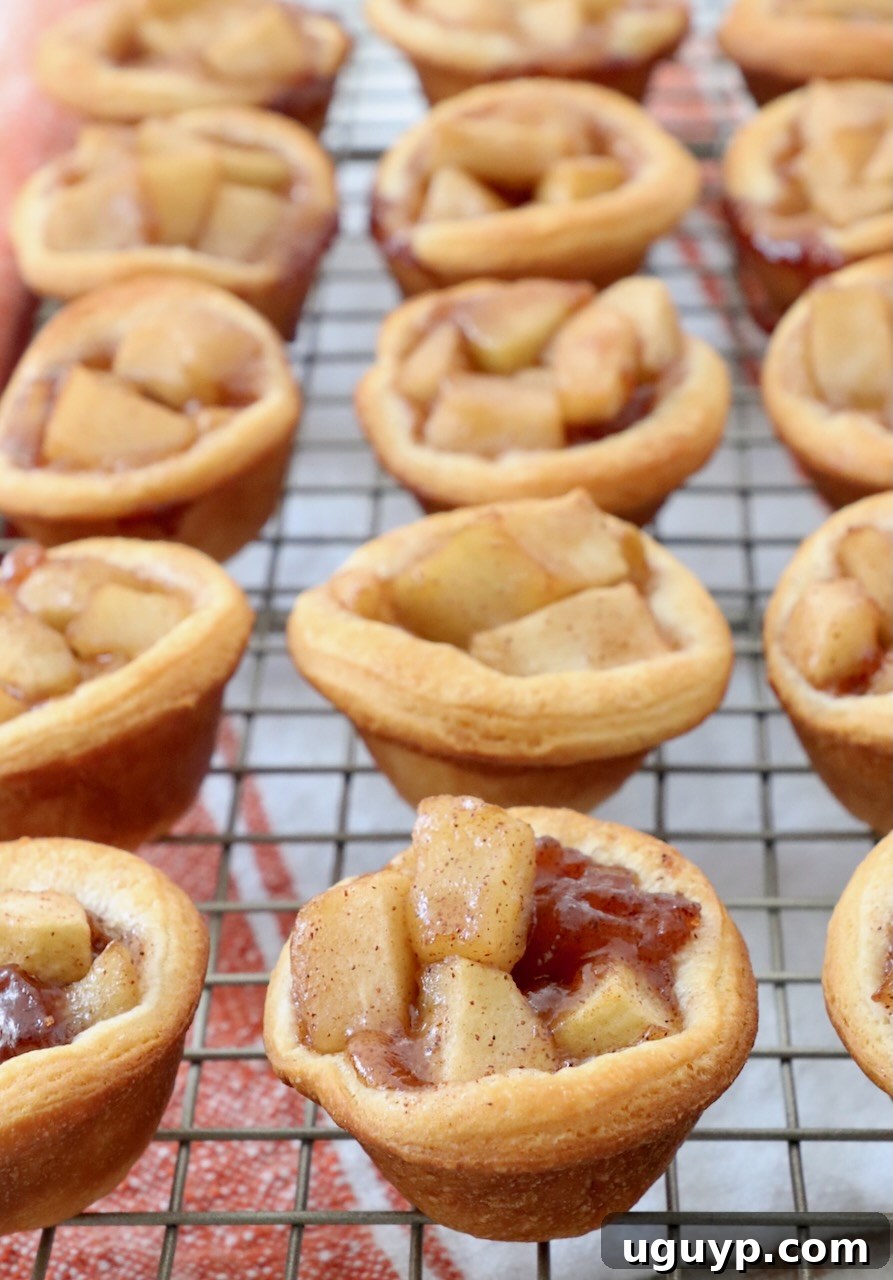 A batch of golden brown mini apple pies cooling on a wire rack, showcasing their perfect miniature size and inviting appearance.