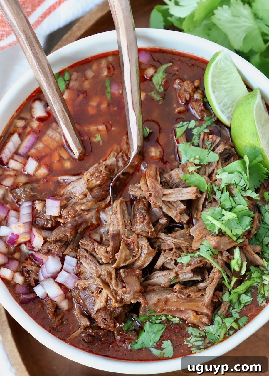 birria in bowl with forks, served as a hearty stew