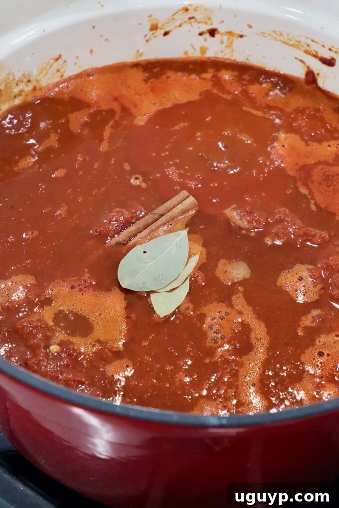 cinnamon stick and bay leaves added to birria stock in large pot