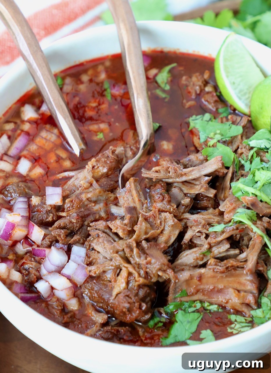 shredded beef in birria broth in a bowl with forks, garnished with cilantro and onion
