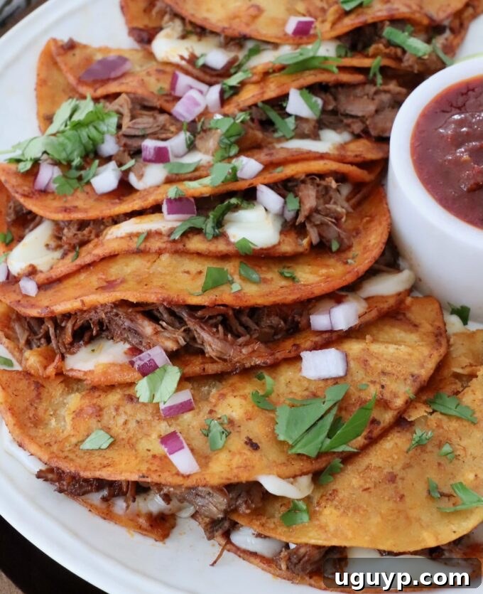 quesabirria tacos on plate with side of tomato beef broth in a small bowl for dipping
