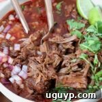shredded beef birria in bowl with broth, garnished