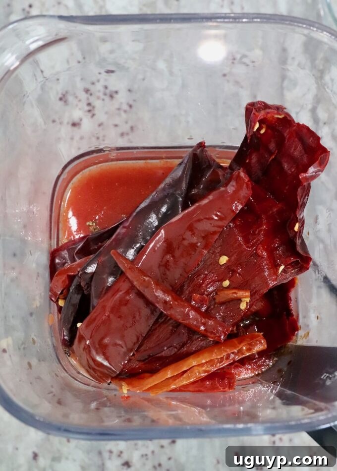 chiles, tomato sauce, and spices in blender for birria marinade