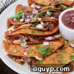 quesabirria tacos stacked up on plate