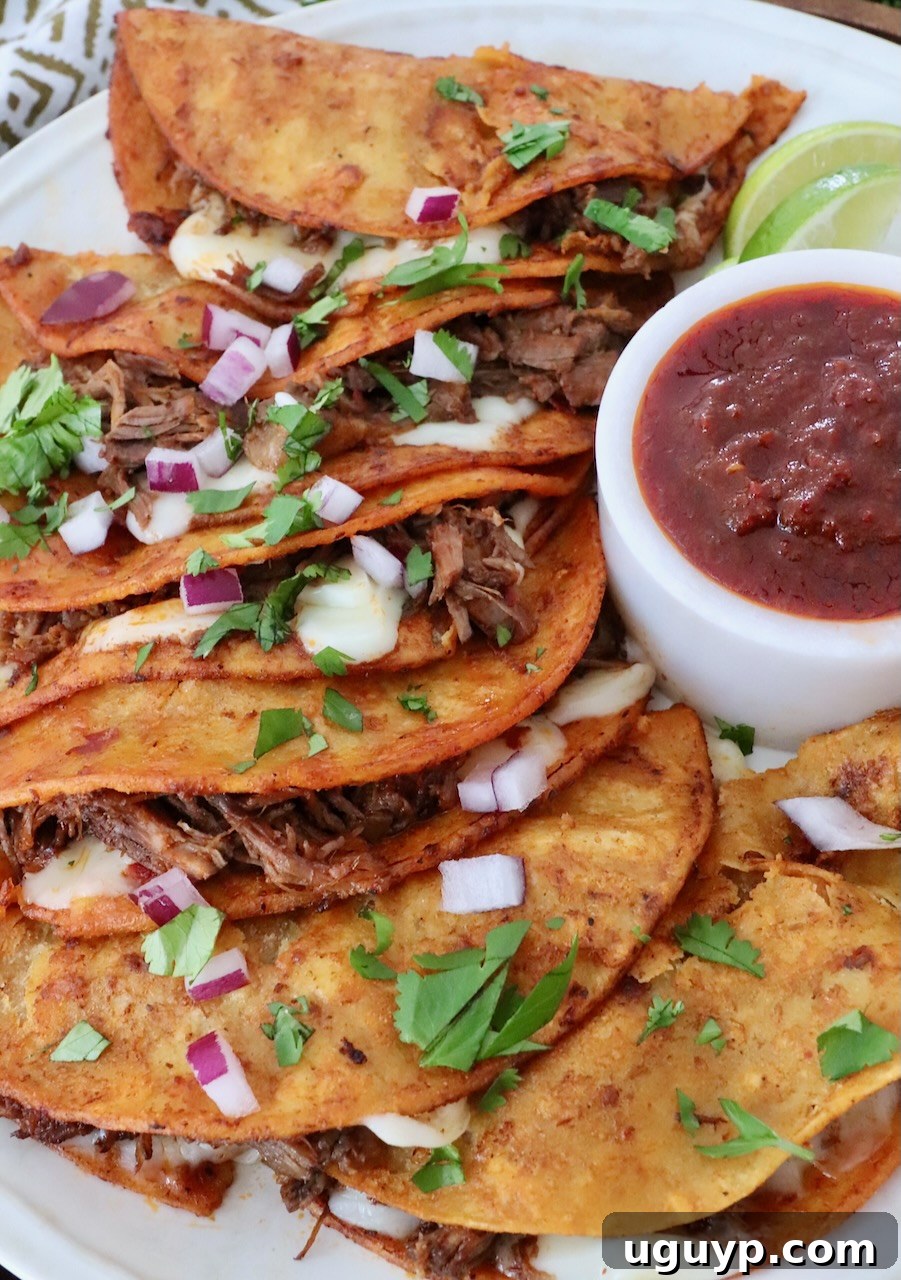 Three quesabirria tacos stacked on a plate, showing the crispy tortilla, melted cheese, and shredded beef inside.