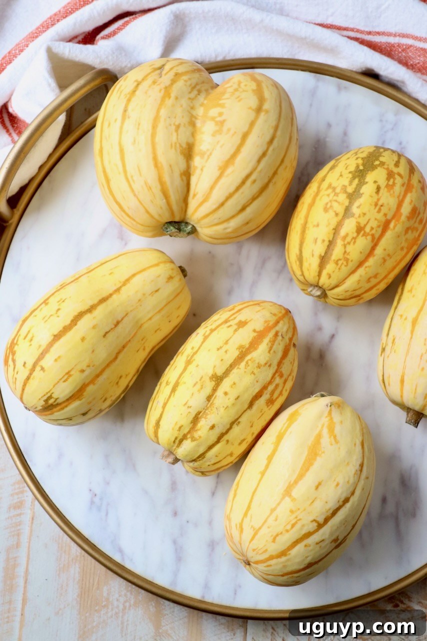whole delicata squash on marble serving tray