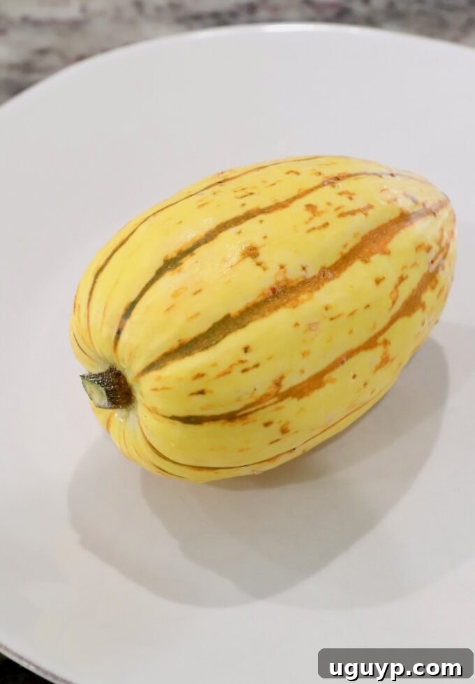 whole delicata squash on white plate