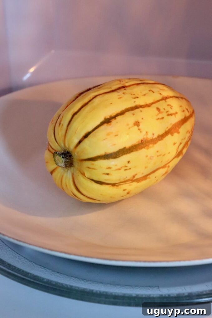 whole delicata squash on plate in microwave