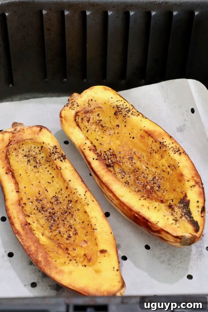 seasoned cooked delicata squash sliced in half in air fryer basket