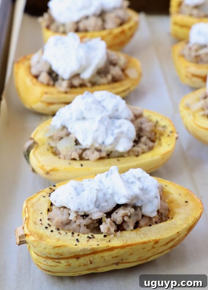 Roasted delicata squash halves, beautifully stuffed with savory chicken sausage and topped with creamy, herb-seasoned ricotta cheese, forming a visually appealing and delicious fall meal.