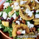 Delicata Squash Salad with roasted delicata squash and crumbled goat cheese