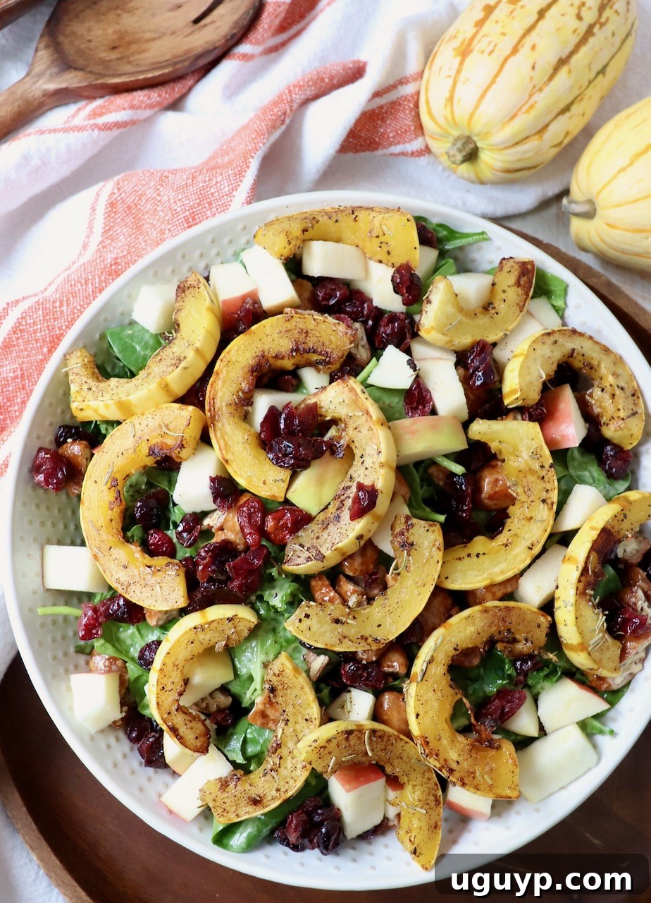 Roasted slices of delicata squash artfully arranged atop a large bowl of salad