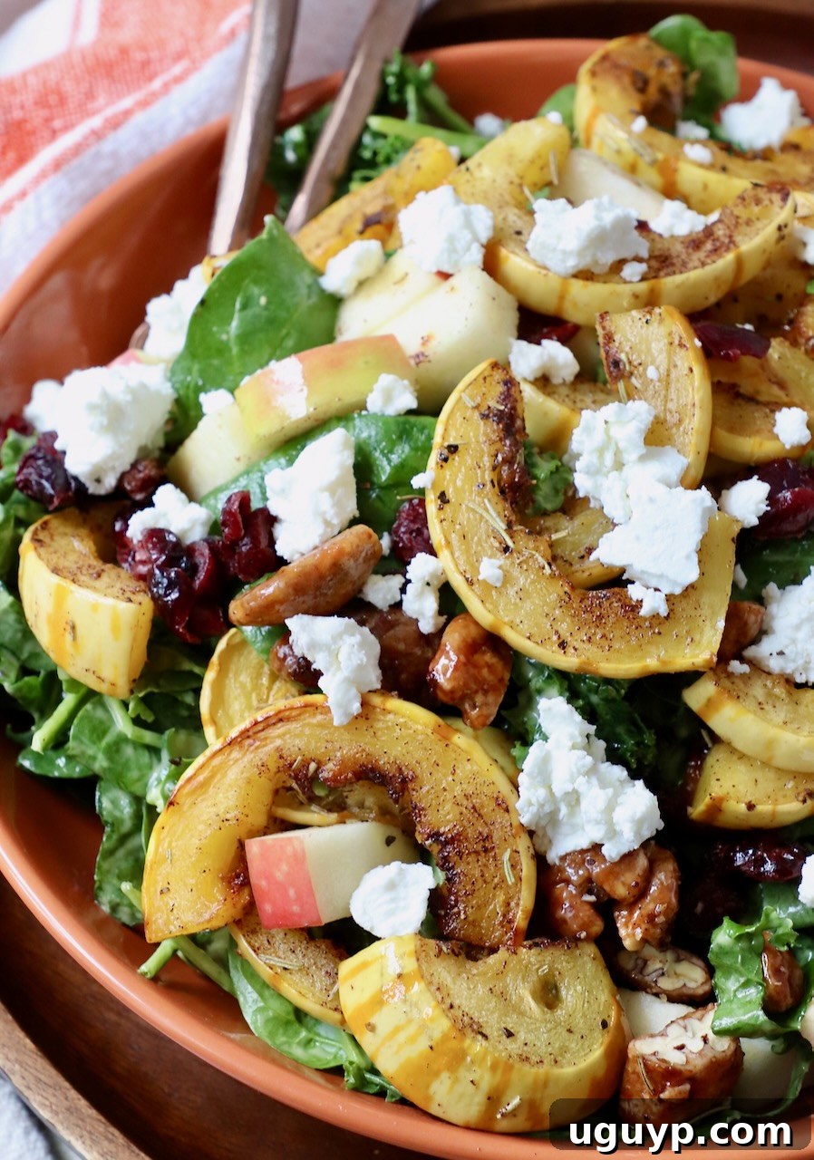 Delicata Squash Salad in a bowl, showing the roasted squash, greens, and other toppings