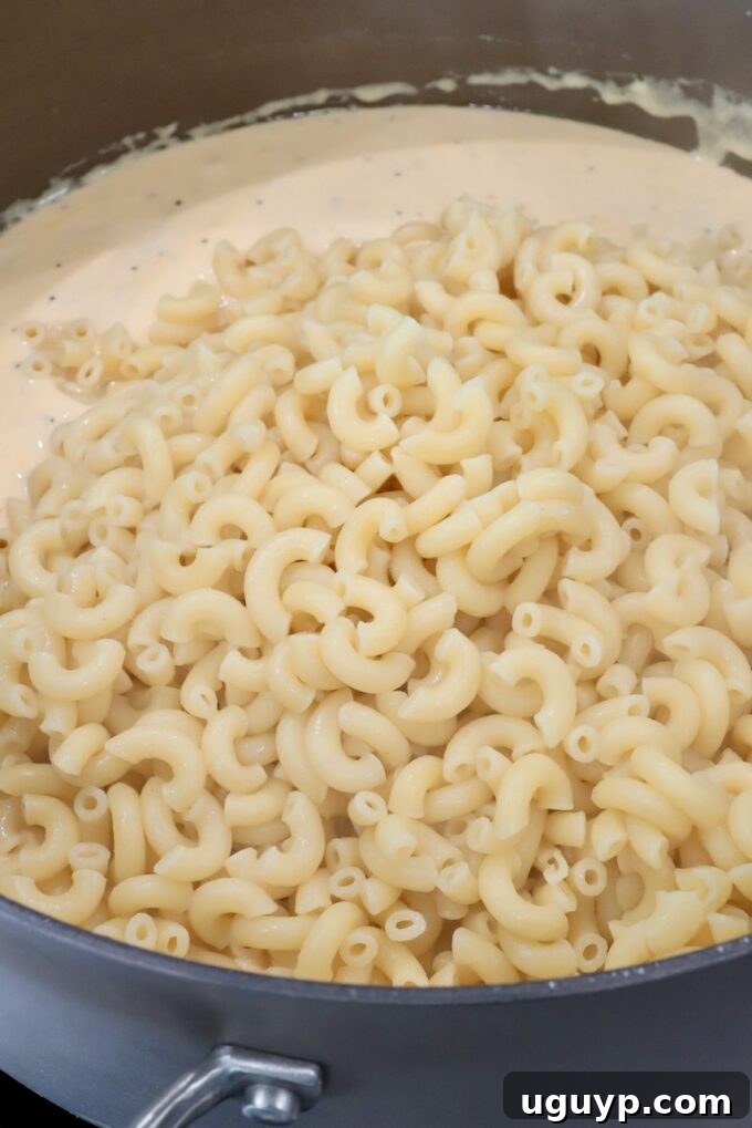 Cooked macaroni noodles being added to a large pot of creamy, golden cheese sauce, ready to be stirred together.