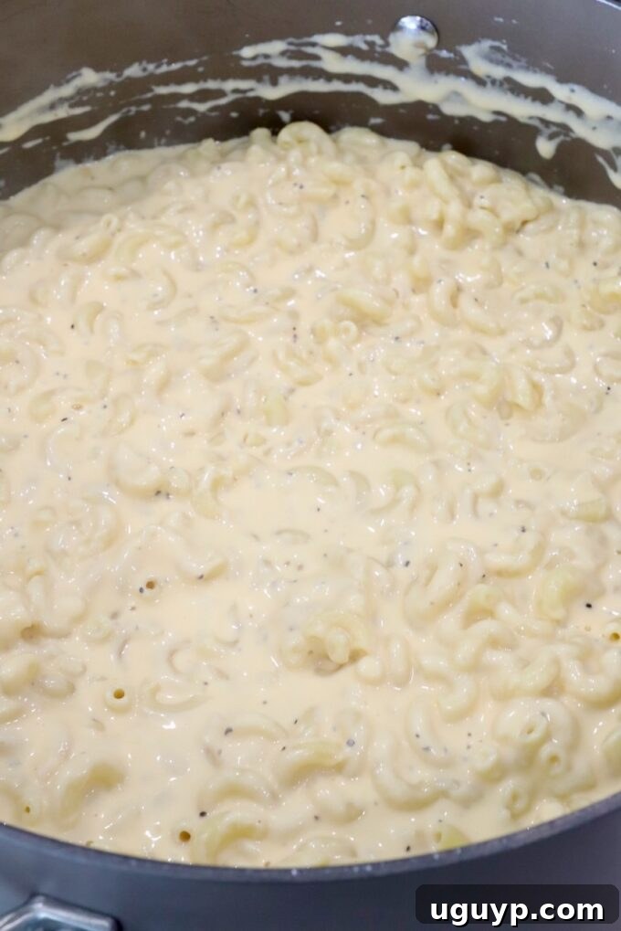 A large pot of perfectly cooked and sauced macaroni and cheese, showing the creamy coating on every noodle, ready to be served.