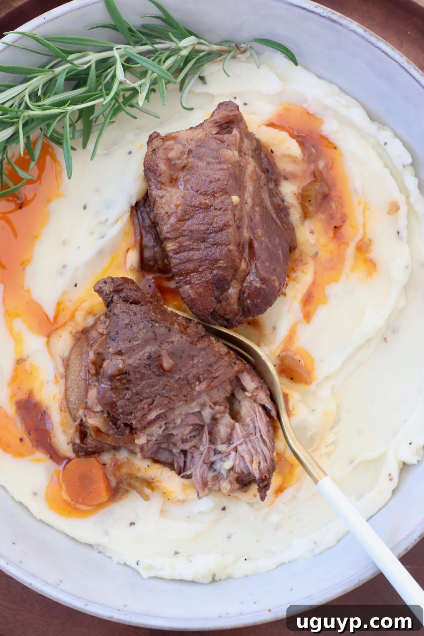 A serving of Guinness Braised Short Ribs over mashed potatoes, garnished with fresh rosemary, in a white bowl.