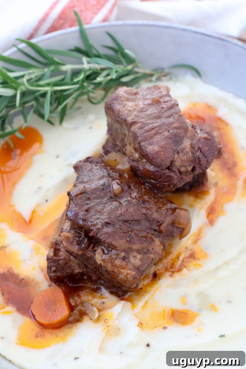 Close-up of a tender braised short rib served atop creamy mashed potatoes in a white bowl.