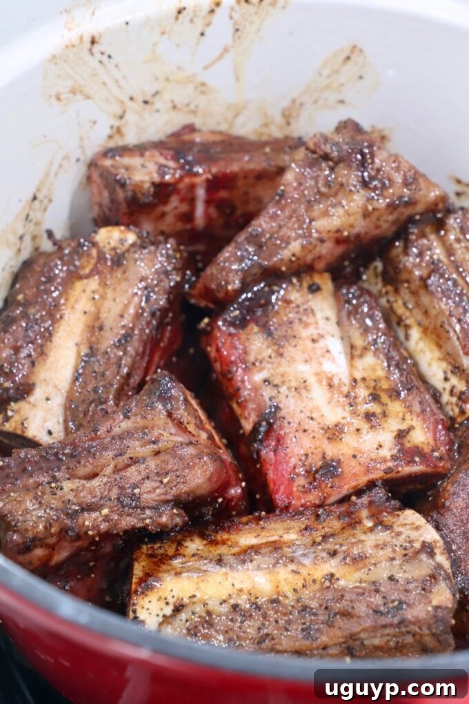 Beautifully seared short ribs with a deep golden-brown crust resting in a Dutch oven after initial browning.