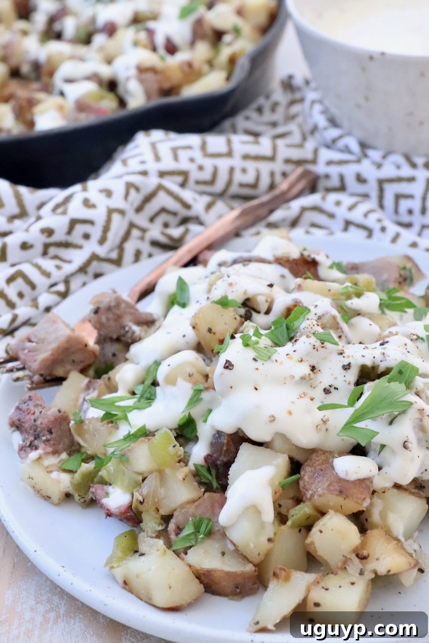 A single serving of potato hash on a plate, luxuriously covered with a rich provolone cheese sauce.