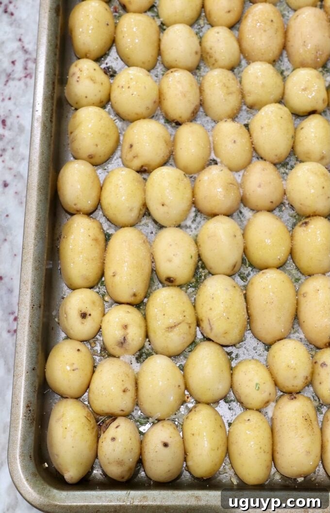 Baby potatoes sliced in half and arranged cut-side down on the seasoned baking sheet.
