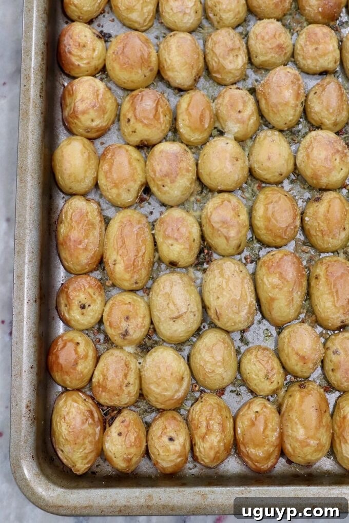 Beautifully roasted baby potatoes with crispy edges on a baking sheet, fresh from the oven.