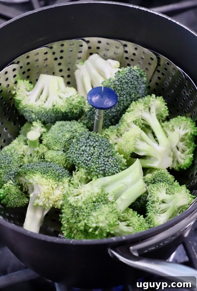 Broccoli florets in a steamer basket placed inside a pot on the stove.
