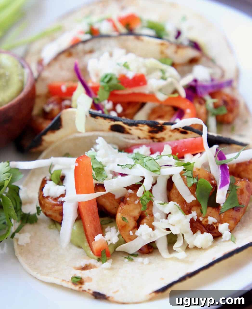 Beautifully plated grilled shrimp tacos topped with vibrant cabbage slaw and creamy avocado salsa, ready to be served.