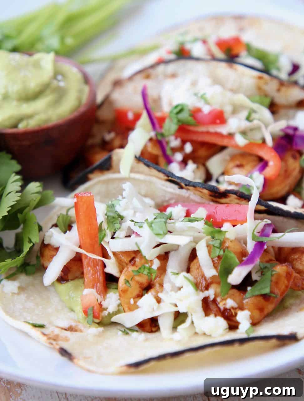 Detail shot of three gourmet grilled shrimp tacos, richly filled with succulent shrimp, red pepper cabbage slaw, and creamy avocado salsa, garnished with fresh cilantro.
