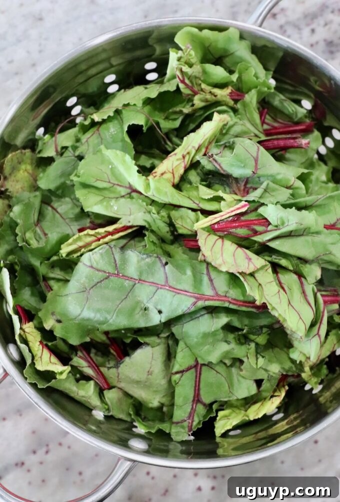 A pile of fresh beet leaves in a metal colander, ready for washing.