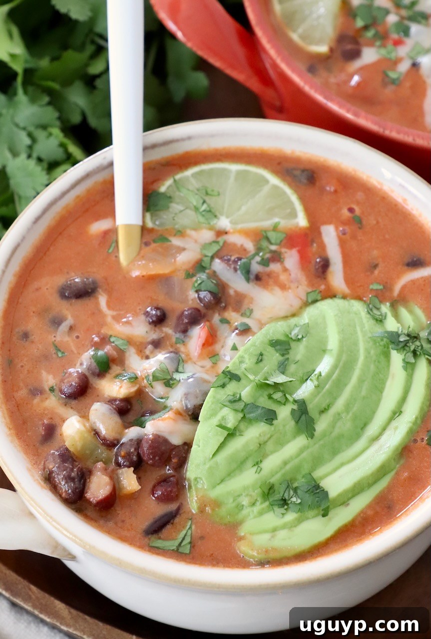 A comforting bowl of black bean soup, generously topped with fresh sliced avocado, exemplifying a perfect dish to use Southwest seasoning.