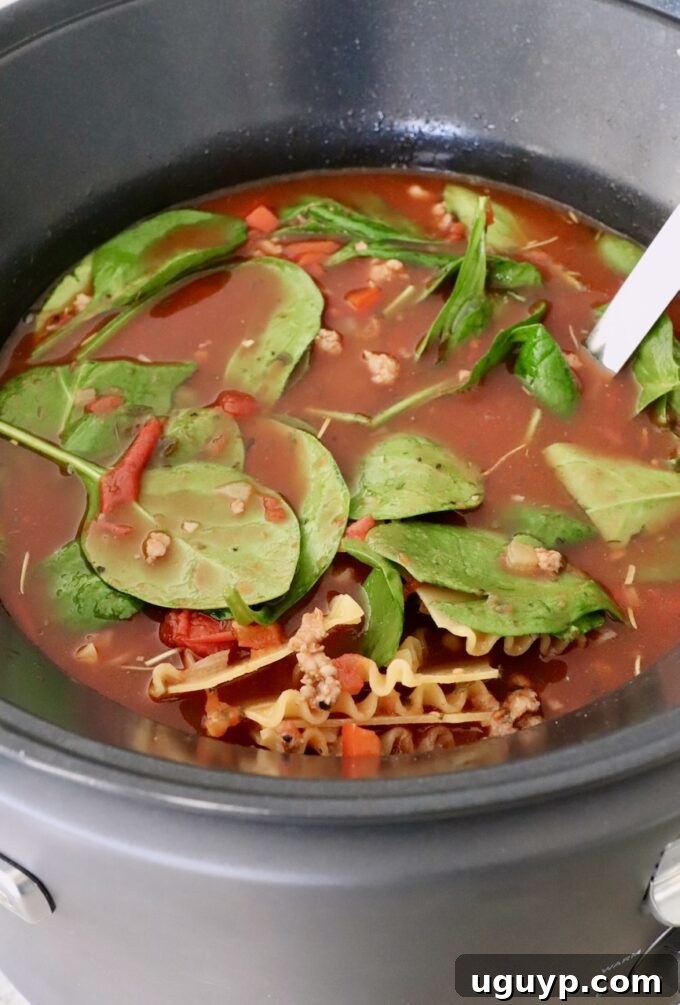 Fresh spinach leaves and broken lasagna noodles cooking in the slow cooker soup.
