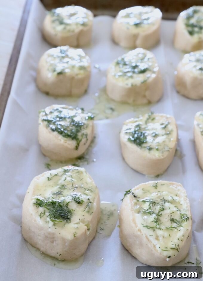 Uncooked creamy pickle rolls on a parchment-lined baking sheet, brushed generously with melted butter mixed with fresh dill.