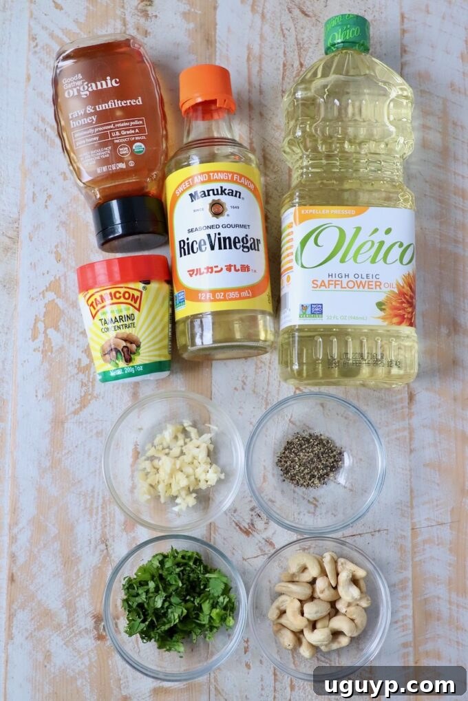 A display of ingredients for homemade tamarind cashew dipping sauce, including raw cashews, honey, water, rice vinegar, tamarind concentrate, cilantro, and garlic cloves.