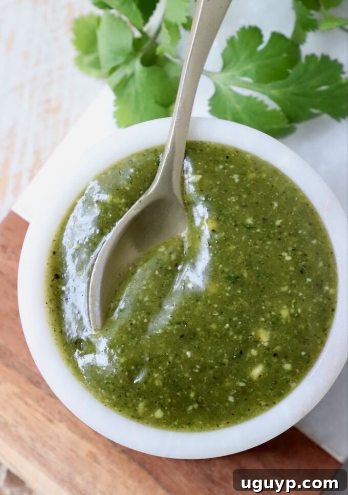 A small bowl of creamy tamarind cashew dipping sauce with a spoon resting in it, ready for serving.