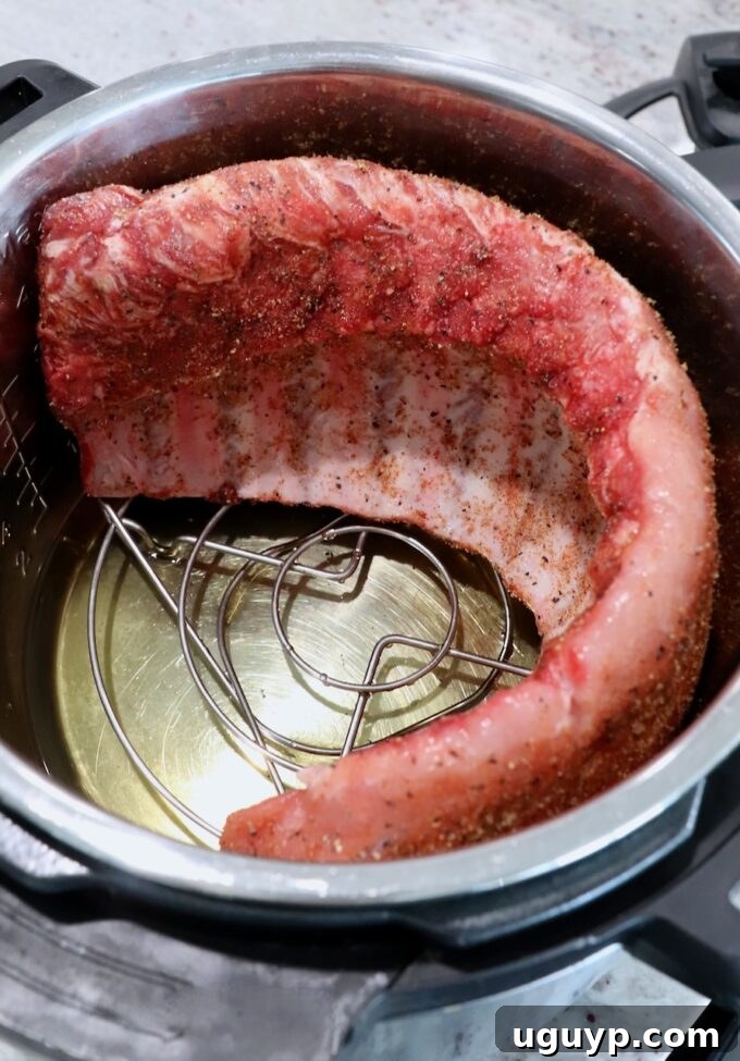 Uncooked rack of baby back ribs, seasoned and coiled inside an Instant Pot on its trivet.