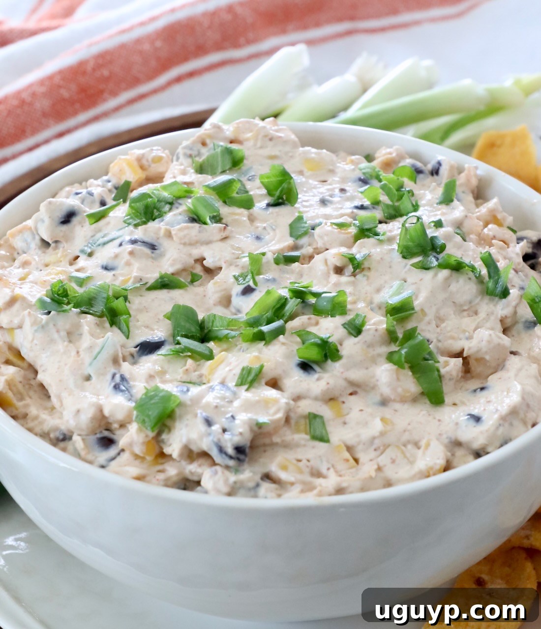 southwest dip in bowl topped with diced green onions