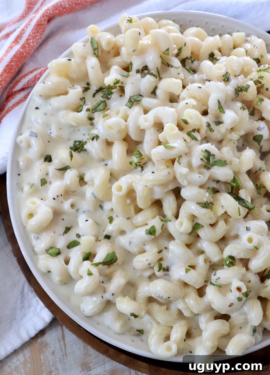 pasta in creamy sauce in large bowl