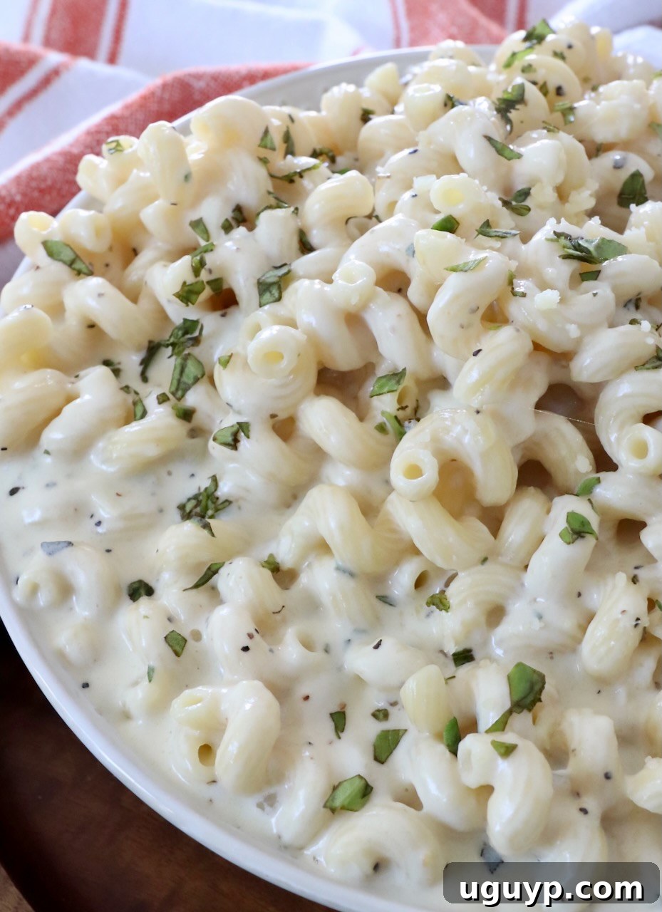 pasta in creamy, cheesy sauce in bowl